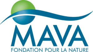 Mava Foundation